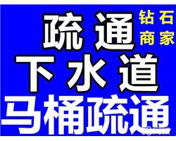 永康專業(yè)通馬桶坐便器
