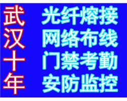 全武漢專業(yè)承接光纖熔接及光纖配件福祿克測試