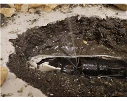 中山管道漏水检测公司专业从事地下暗管漏水检测