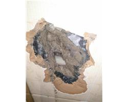 专业家庭漏水检测，专业消防管漏水检测，专业管道测漏