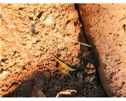 广州小区漏水检测，家庭水管漏水检测，广州地下供水管漏水检测
