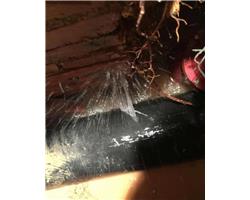 广州检测漏水公司，各种供水管漏水检测，消防管查漏点