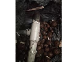 工厂自来水管漏水检测地下暗管漏水维修新装修水管漏水怎么办