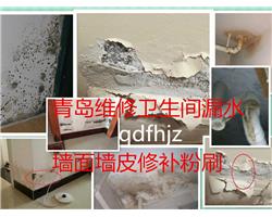 青島城陽區(qū)維修衛(wèi)生間漏水衛(wèi)生間防水補(bǔ)漏