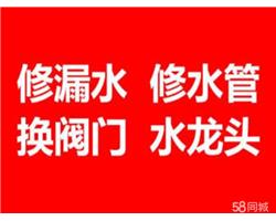 余姚市專業(yè)水管水閥水表、水龍頭安裝維修,水管水路改造