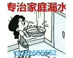 臨沂蘭山水管漏水測漏水暗管漏水查漏水測漏水暗管漏水打壓試壓維