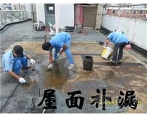 苏州金阊区专业防水堵漏 承接大小防水工程 快速上门检测
