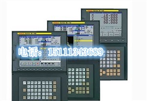 FANUC Series
