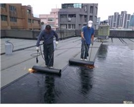 專業(yè)房屋維修、防水補漏等服務(wù)、隨叫隨到