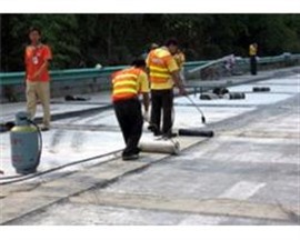 專業(yè)衛(wèi)生間防水堵漏水池地下室防水堵漏新舊屋面防水維修