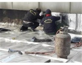 泰安大圣專業(yè)性從事防水、補(bǔ)漏、堵漏、土建維修、堵漏工程