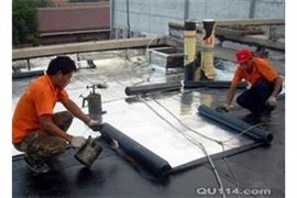 蘇州園區(qū)專業(yè)新舊樓房廠房車間防水維修工程保溫補(bǔ)漏工程 