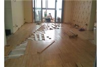 新区各种地板拆装，维修，地板变形处理 地板水泡处理 