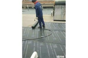 苏州吴中区平房漏水维修 专业防水 自建房楼顶 阳台防水