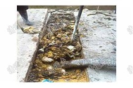 崧廈鎮(zhèn) 通下水 清洗污水沉淀池價(jià)格便宜死了-價(jià)格實(shí)惠