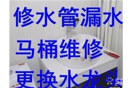 安裝淋浴柜、閥門電表安裝、馬桶水箱、水龍頭、混水閥、三角閥