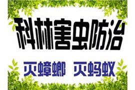 咸陽滅蟑螂公司哪家好，咸陽家庭滅蟑螂