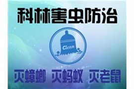 咸陽滅老鼠除蟑螂公司解析無法徹底滅老鼠的原因