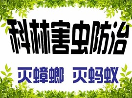 如何消滅蟑螂，咸陽滅蟑螂公司哪家好