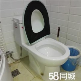 更換安裝  馬桶漏水不進(jìn)水 水管龍頭安裝維修 淋浴器花灑安裝