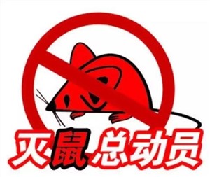 北京灭老鼠公司_老鼠防治家庭商场防鼠_快速上门