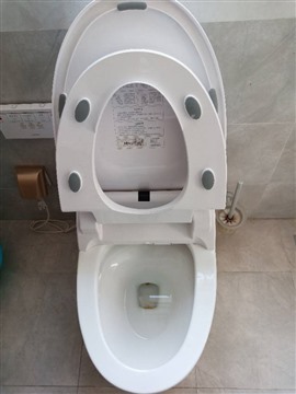 智能馬桶 潔身器維修