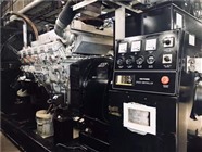 仙桃發(fā)電機出租 仙桃大型發(fā)電機租賃 仙桃發(fā)電機維修服務(wù)公司
