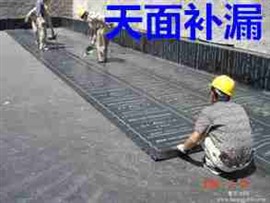桂林屋頂補(bǔ)漏外墻補(bǔ)漏廁所補(bǔ)漏公司