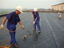 苏州专业屋顶漏水维修 外墙防水高空作业 卫生间防水补漏