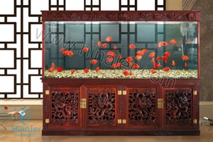 上海向博水族有限公司专业清洗维修鱼缸鱼池