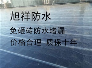 無錫梁溪區(qū)防水補(bǔ)漏公司旭祥建筑防水免砸磚技術(shù)價格合理
