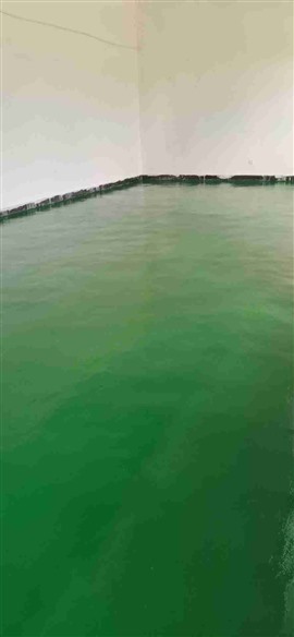 三棟地坪漆施工，環(huán)氧樹脂地坪漆，自流平地坪漆