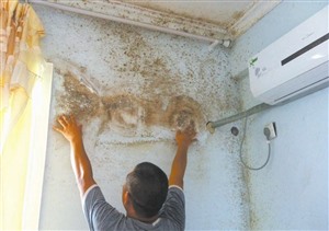 桐庐外墙渗水维修、桐庐卫生间专业修漏水