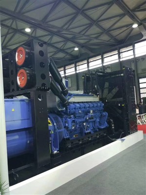天水哪里出租發(fā)電機(jī)價(jià)格低 質(zhì)量好