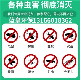 上海各区快速上门灭老鼠专业除虫公司四害消杀除蟑螂灭白蚁