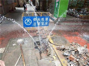 张家港市查漏水测漏维修 自来水暗管漏水检测正规公司