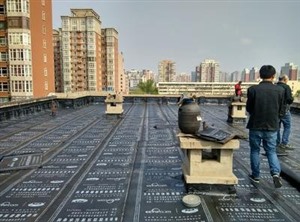 北京大興區(qū)專業(yè)樓頂漏水維修防水補漏