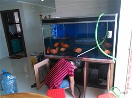 寧波魚缸維修，魚缸安裝，魚缸清洗換水