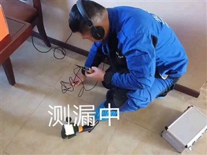 张家港市大新镇消防管网查漏水测漏水专业团队