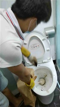 南頭鎮(zhèn)師傅上門疏通廁所（24小時服務(wù)電話）