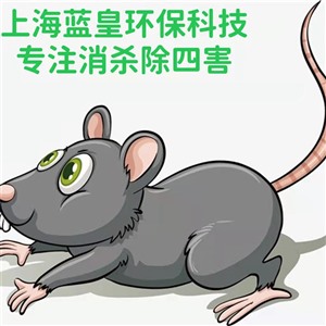 上海除四害服务公司企业杀虫除鼠灭蟑螂