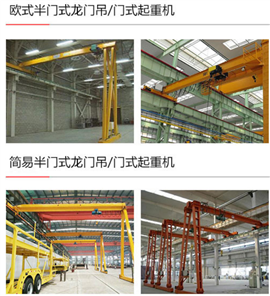 渭南合阳县行车拆卸搬迁行吊安装新航吊-欧式起重机-防爆起重机