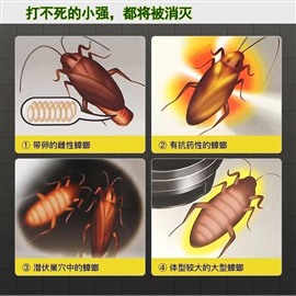 快速上門滅蟑螂效果好，找西安滅蟑螂公司萬徑，清除蟑螂一窩端