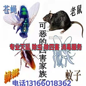 闵行区消杀公司上海除鼠公司上门杀虫除蟑螂