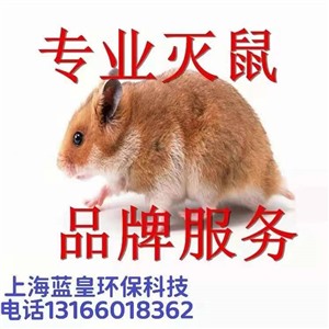24小时除鼠公司电话上海上门除鼠除虫除蟑螂灭蚊蝇