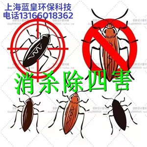 上海蓝皇环保灭蟑螂公司上门除蟑螂服务灭老鼠公司
