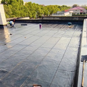 上海黄浦区屋顶防水补漏，洗手间渗水漏水维修，防水效果好省钱