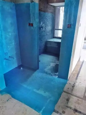 上海奉贤区（南桥镇）卫生间防水施工 洗手间漏水维修做防水多少钱