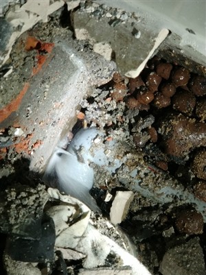 無錫市新區(qū)解決房屋滲水難題 自來水測(cè)漏水公司快速解決