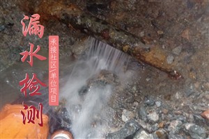 上海崇明区室内水管漏水怎么检查漏水点检测